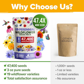 HOME GROWN seed packet ready for easy planting in beds or containers.