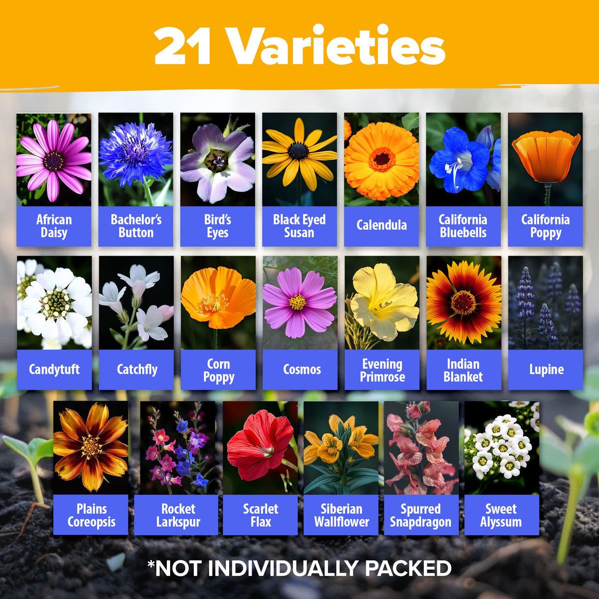 HOME GROWN wildflower seeds mix varieties collection for year-round pollinators
