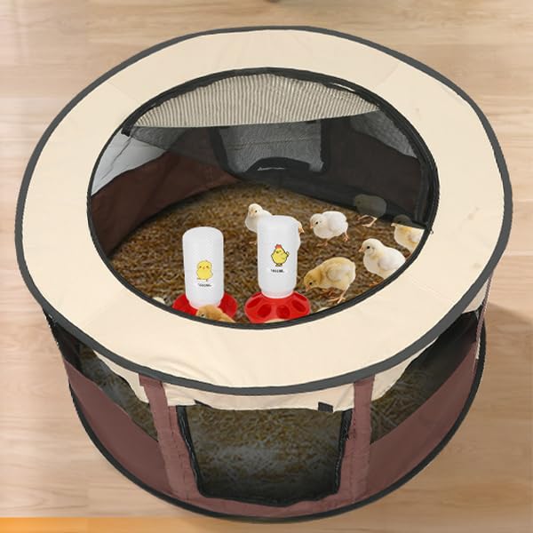 Homelfin spacious brooder suitable for ducklings or quail
