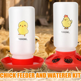 Homelfin dual-use brooder for indoor and outdoor spaces