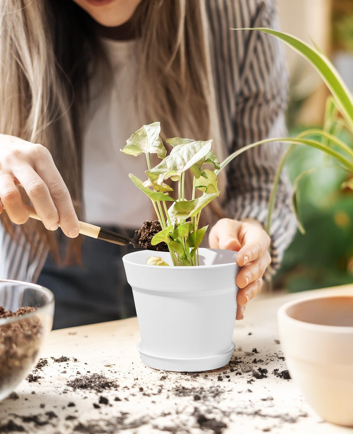 Homenote 15-pack white planters with trays for organized indoor gardening.