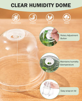 Homenote 30-pack plant pots with lids and drainage for organized propagation