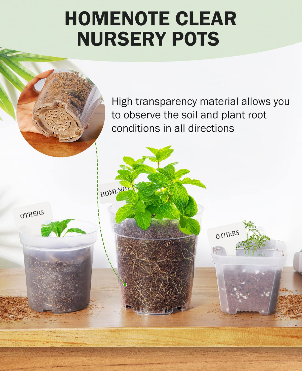 homenote 4-inch indoor pot ideal for seed starting and cuttings