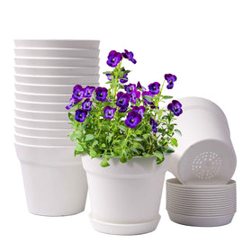 Homenote 6-inch plastic pot with drainage holes for steady watering.