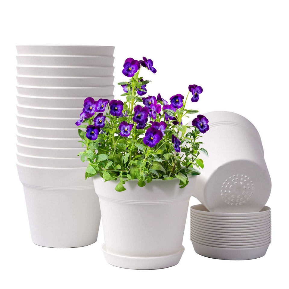 Homenote 6-inch plastic pot with drainage holes for steady watering.