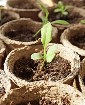 HOMENOTE bonus plant labels to track seedlings
