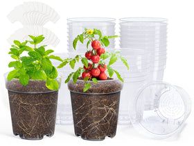 homenote clear 5-inch nursery pot shows soil and roots for precise watering