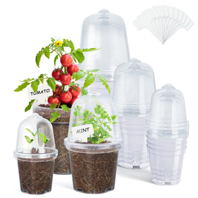 homenote clear nursery pot 3-inch with lid enhances moisture and root visibility for precise watering.