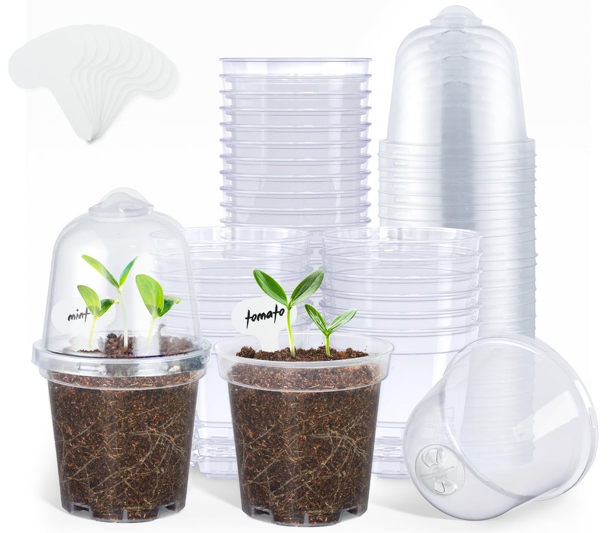 Homenote clear 3-inch nursery pot with lid for moisture monitoring and propagation