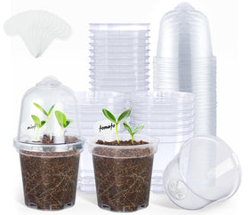 Homenote clear 3-inch nursery pot with lid for moisture monitoring and propagation
