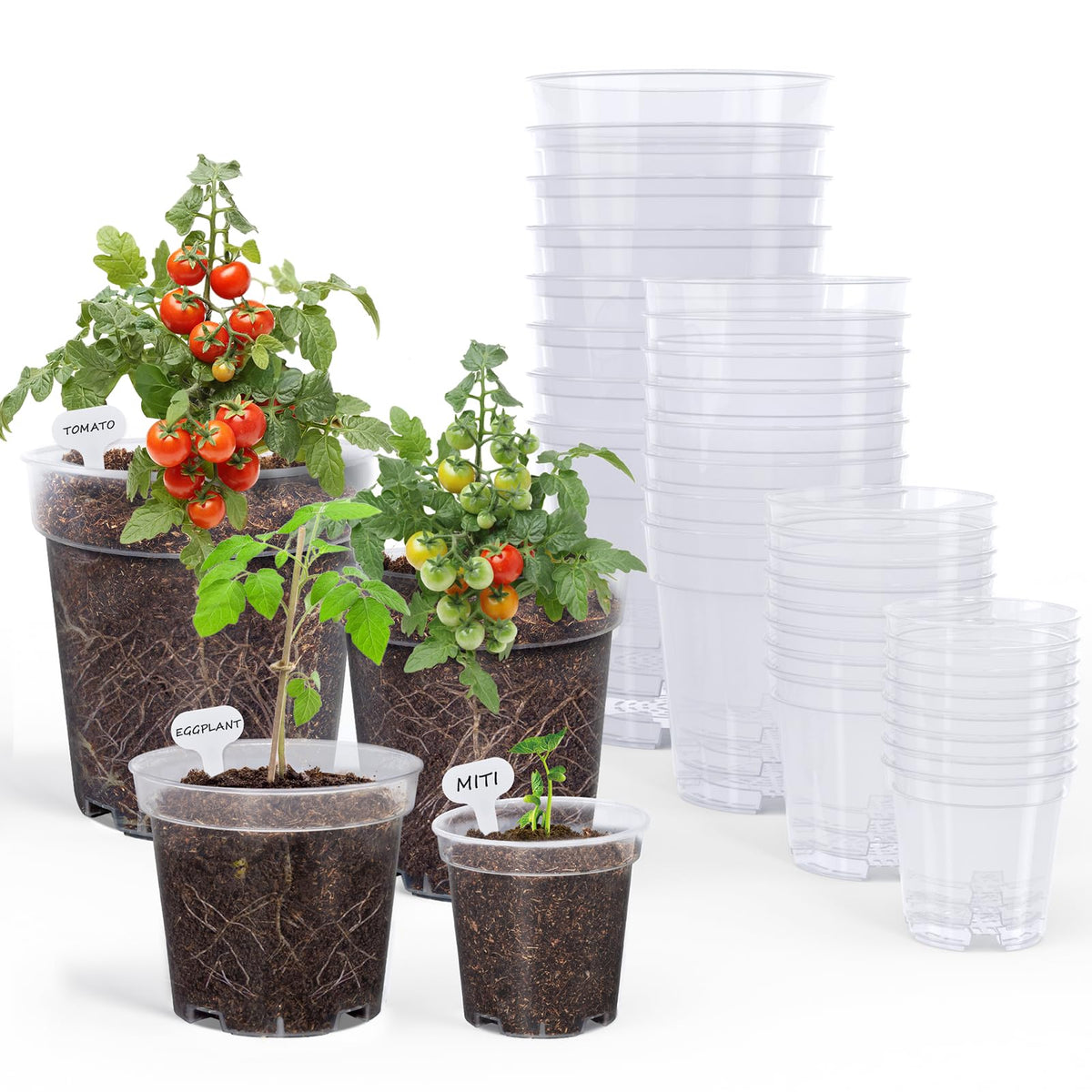 homenote clear nursery pot 3-inch for easy root monitoring