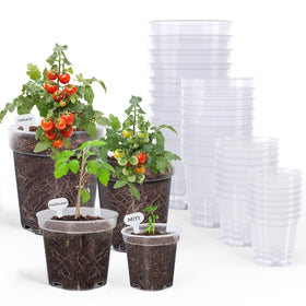 homenote clear nursery pot 3-inch for easy root monitoring