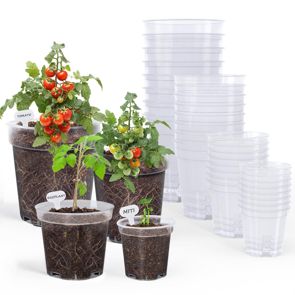 homenote clear nursery pot 3-inch for easy root monitoring