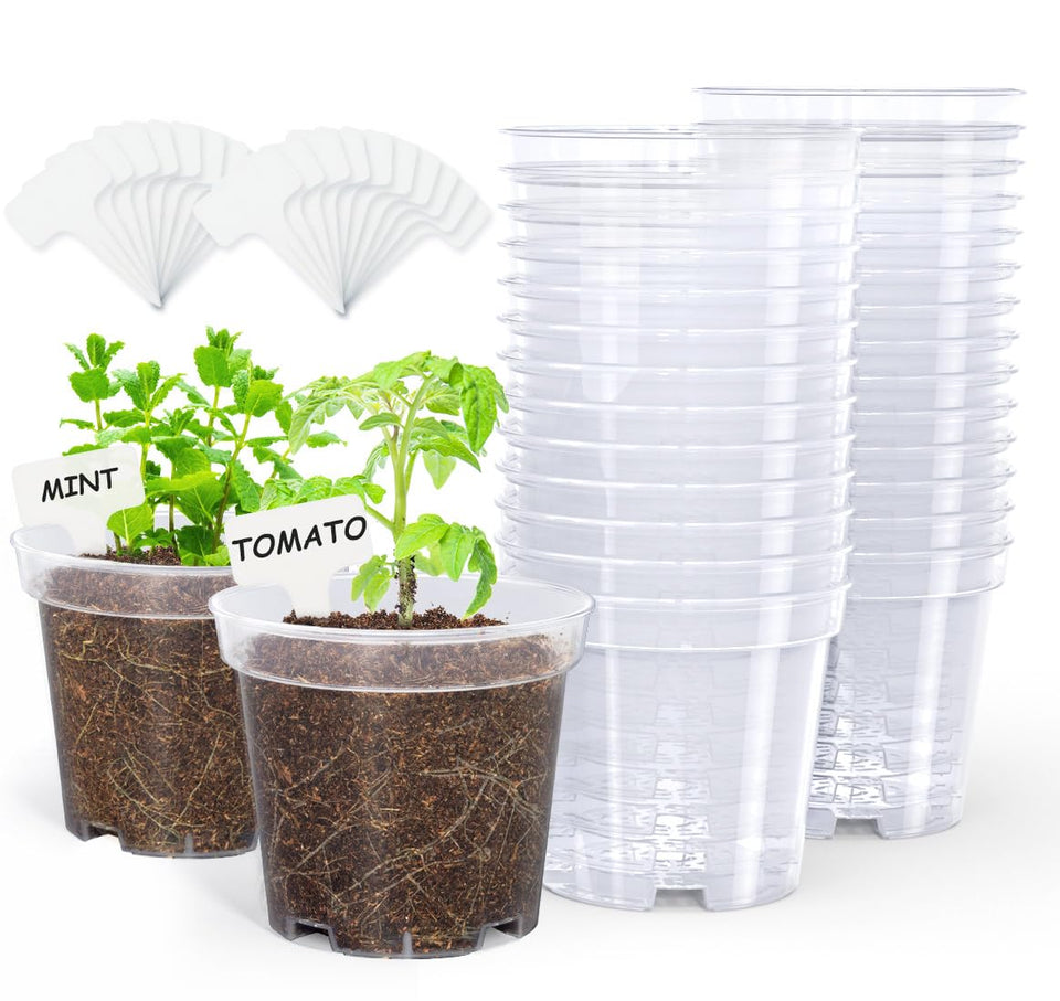 Homenote clear nursery pot 4-inch close-up for root observation and moisture view.