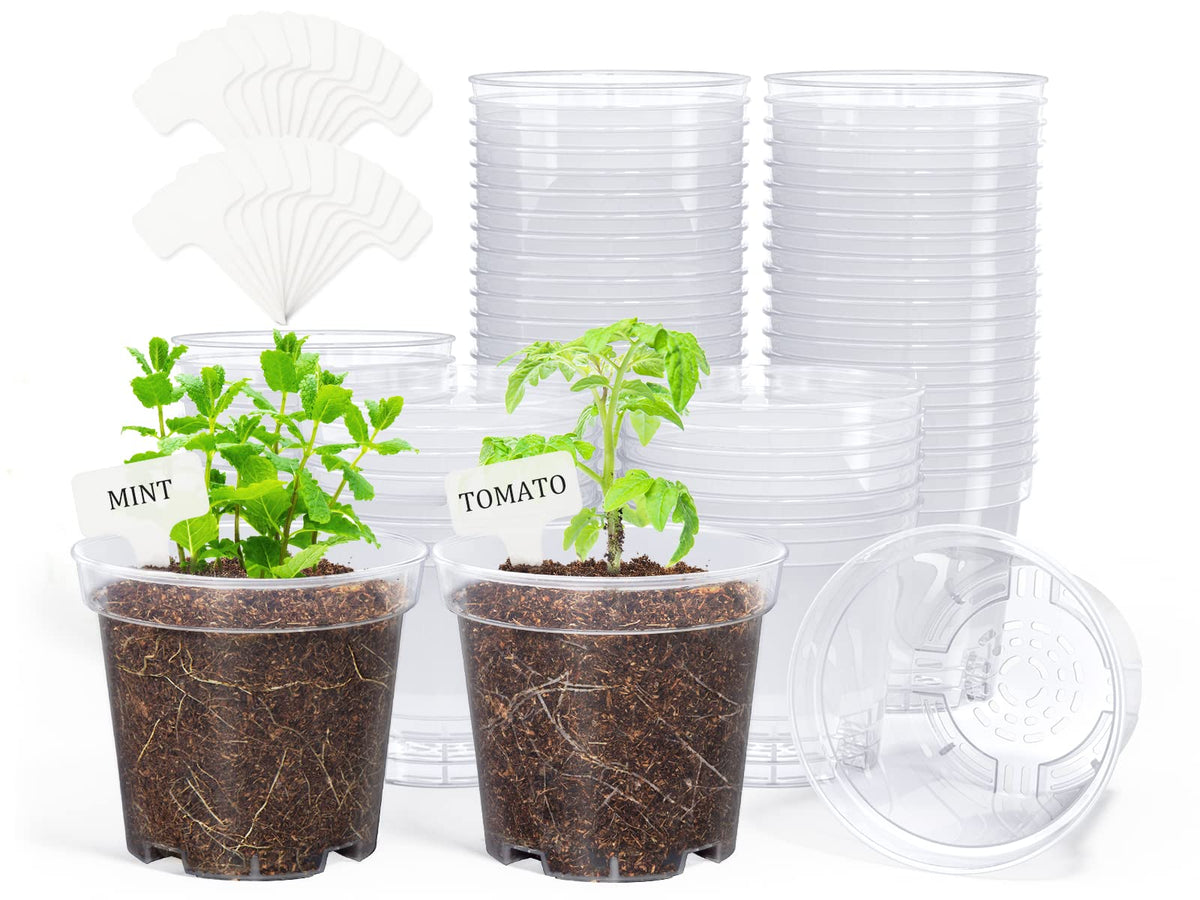 homenote clear 4-inch nursery pot with drainage holes for healthy seedlings