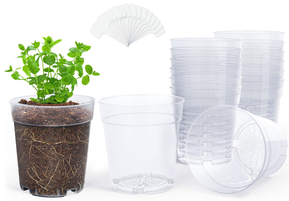 Homenote clear nursery pot top view shows transparent soil and easy watering reference.