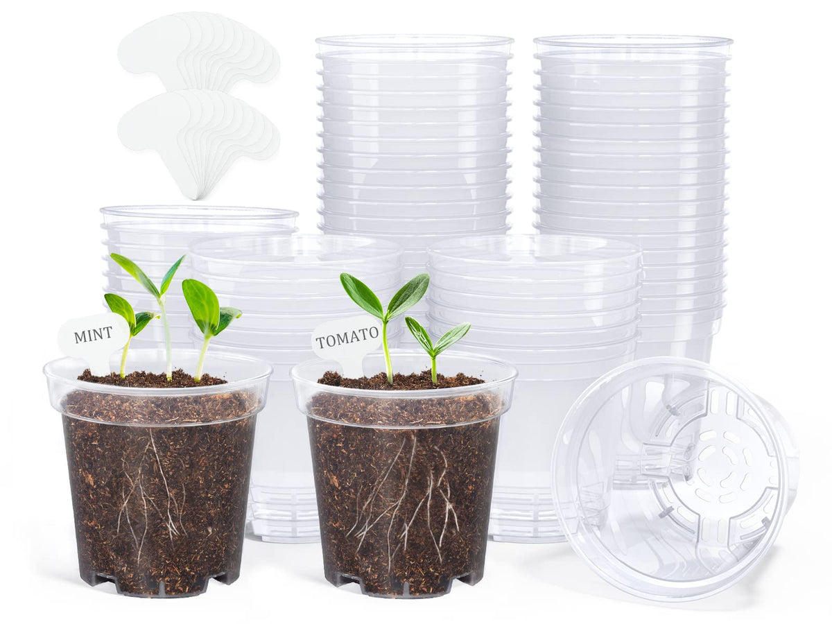 Homenote Clear Nursery Pots top view showing transparent soil exposure and precise watering cues