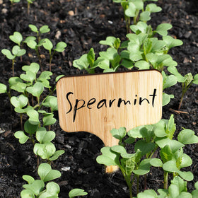 Homenote plant tags are a great gift for organized gardeners.