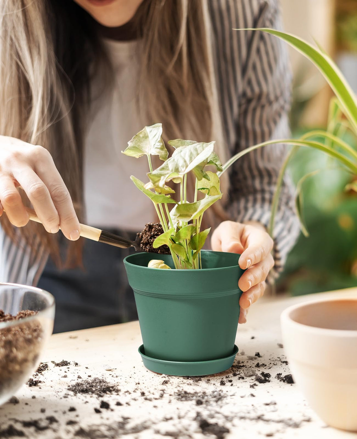 Homenote green plant pot showing removable tray to catch excess water