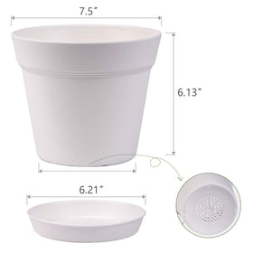 Homenote indoor garden setup ideal for windowsills, desks, and balconies.