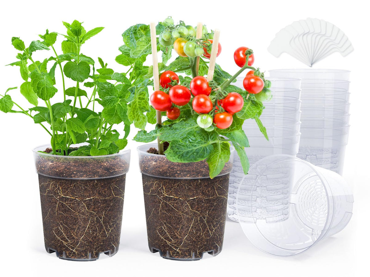 Homenote lightweight durable planter pack suited for beginners and hobbyists.