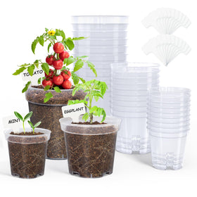 Homenote 3-inch clear nursery pot with transparent moisture view