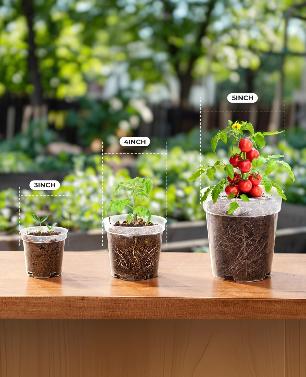 Homenote pot drainage holes closeup emphasizes root health