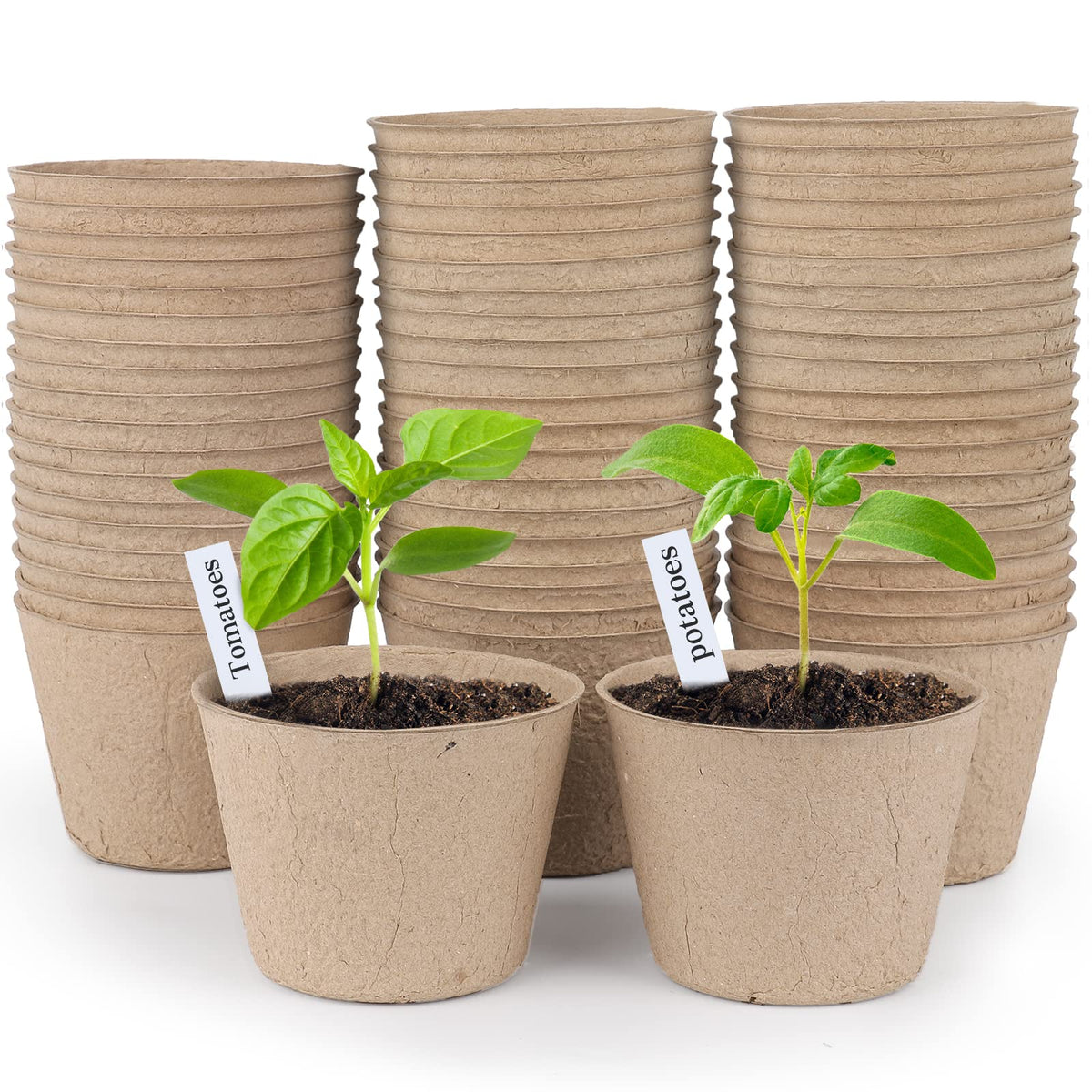 Homenote 4-inch peat pot with drainage holes for seed starting