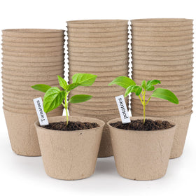 Homenote 4-inch peat pot with drainage holes for seed starting