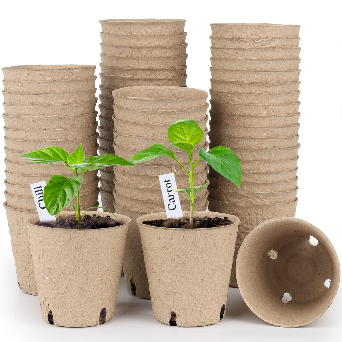 Homenote peat pots 60-pack ready for seed starting and transplanting.