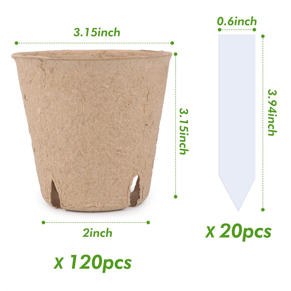 Homenote peat pots with drainage holes support moisture control for seedlings