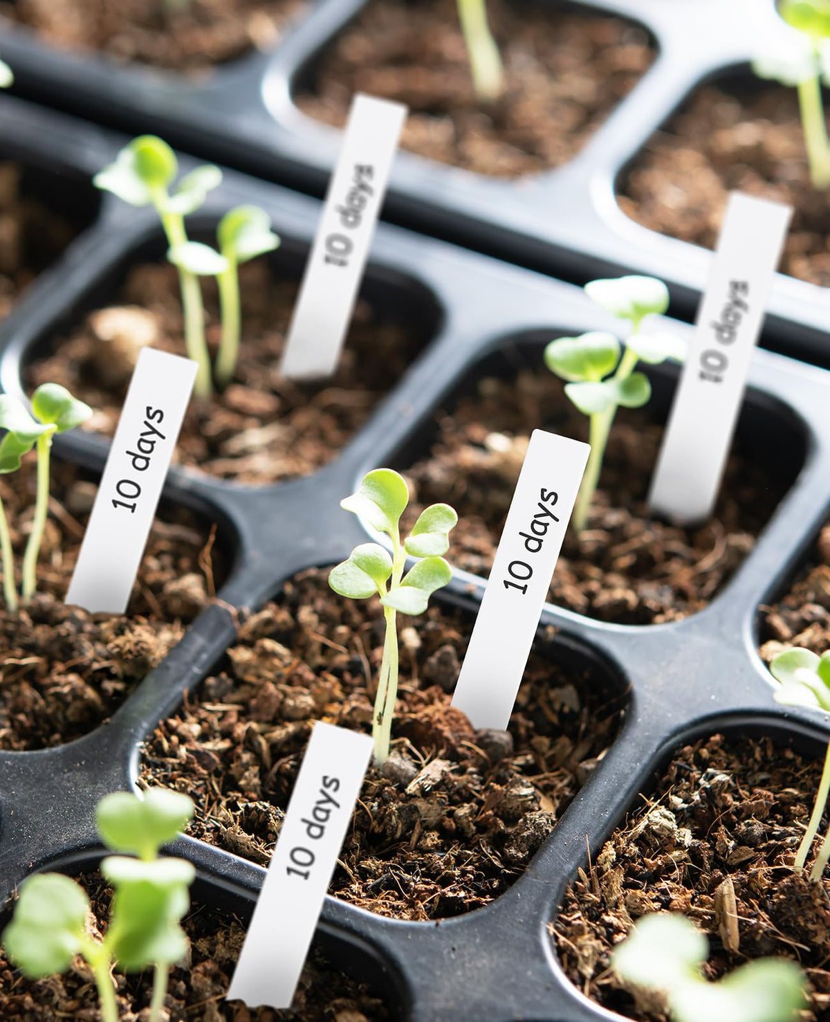 Homenote plant markers with smooth writing surface for easy labeling