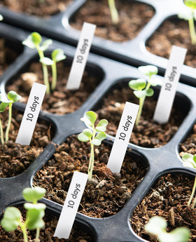 Homenote plant markers with smooth writing surface for easy labeling