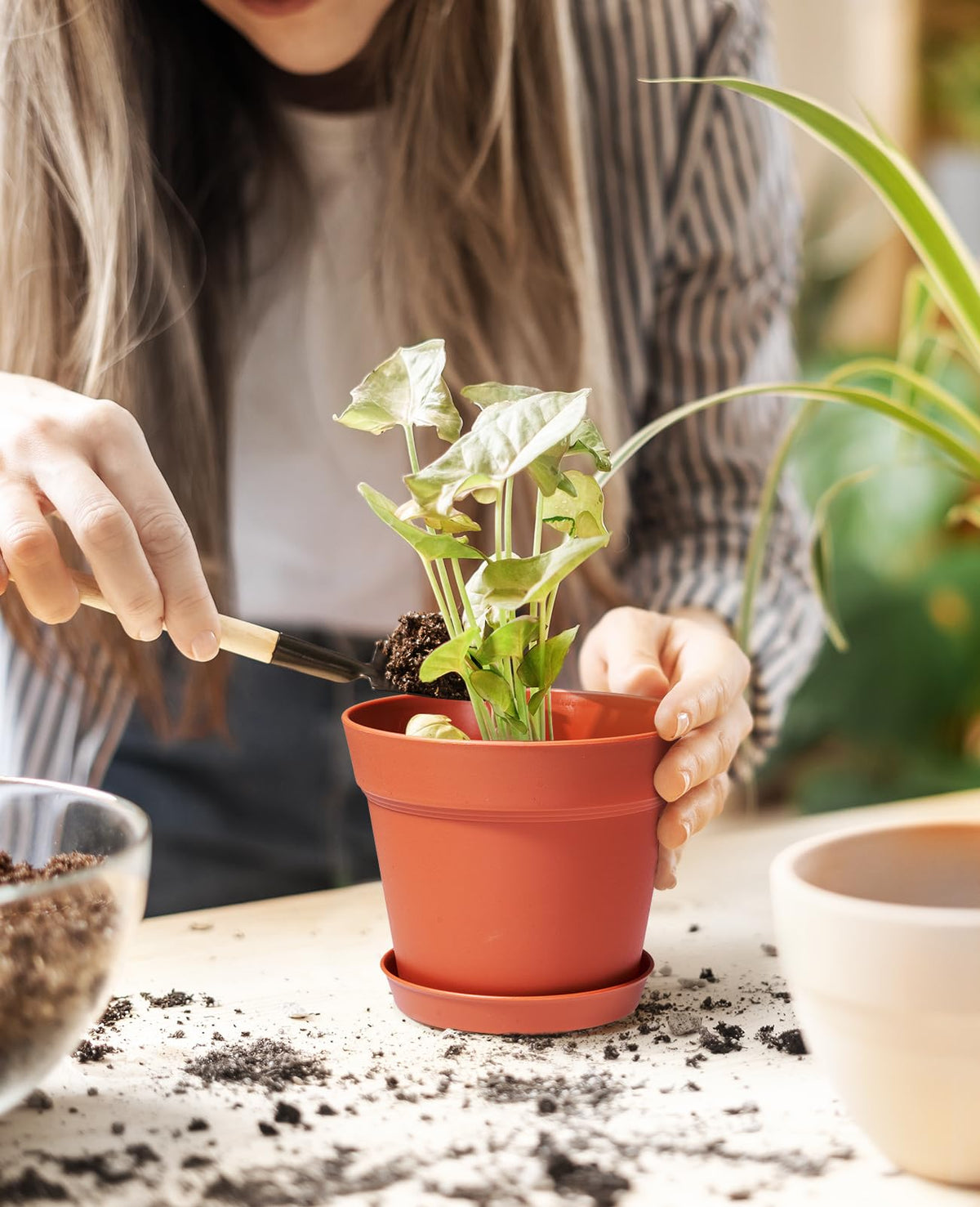 Homenote plant pot with removable tray to catch excess water.