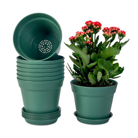 Homenote 7-5 inch plant pot with drainage holes and tray for indoor use