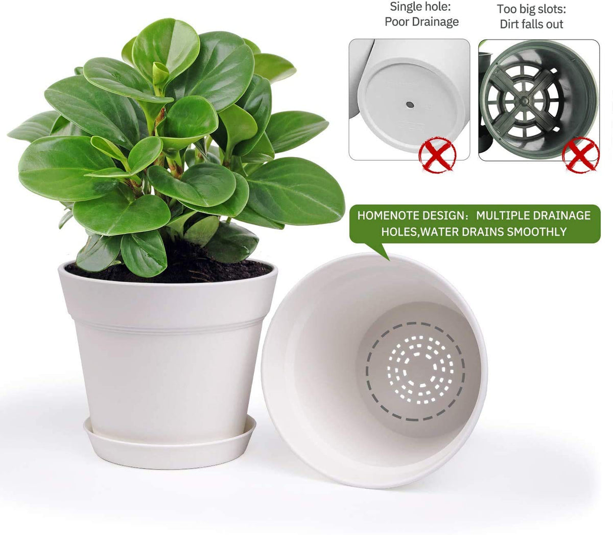 Homenote plant pots fit orchids, succulents, herbs and more.