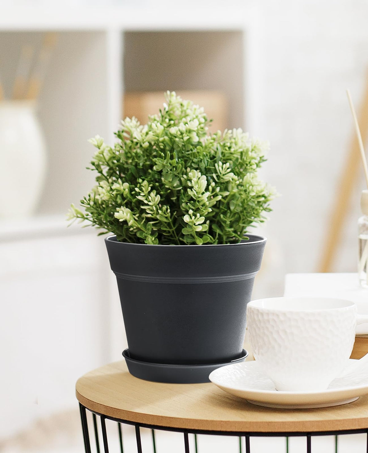Homenote planters on a windowsill, compact indoor growth display
