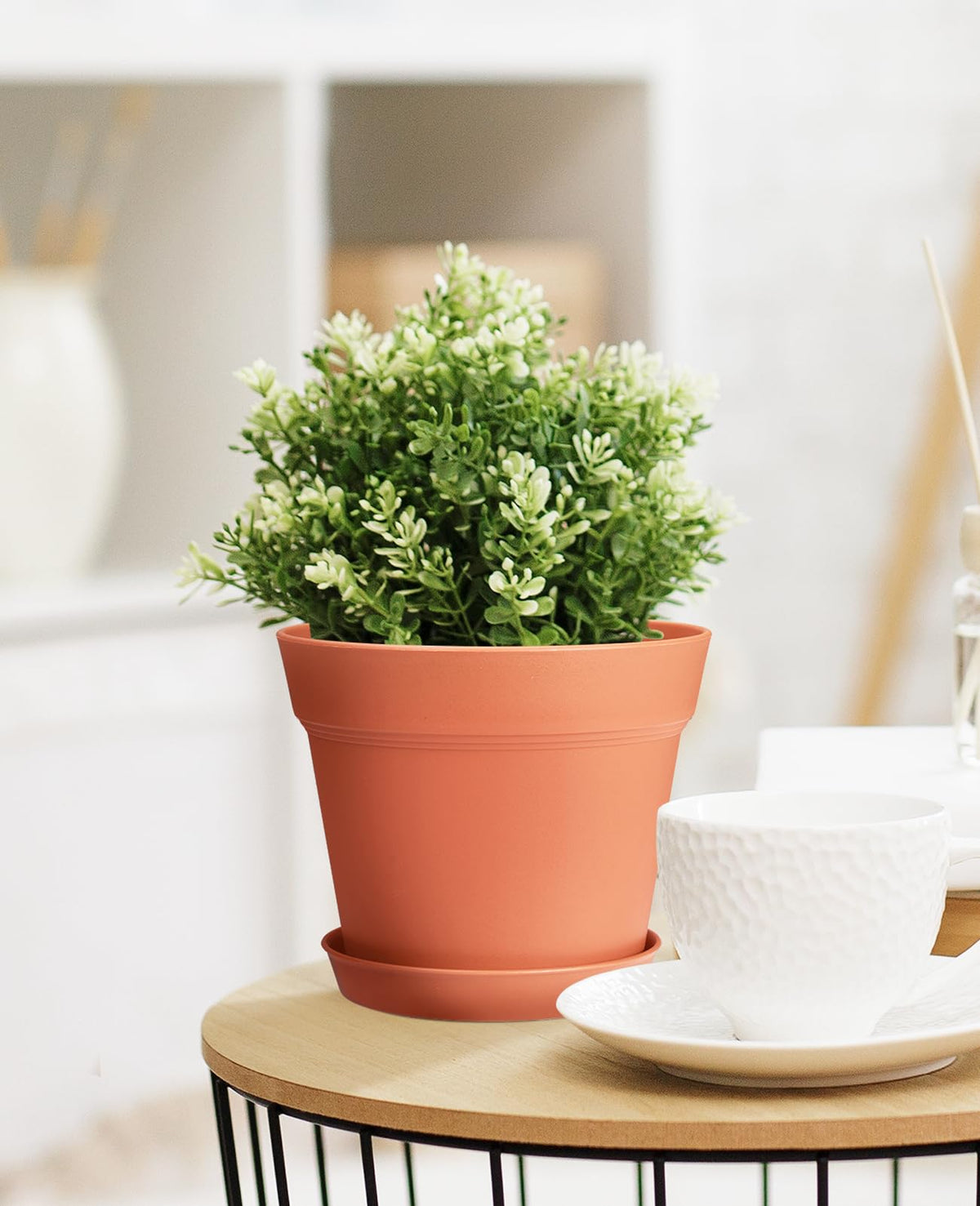 Homenote outdoor balcony garden using 6-inch pots.