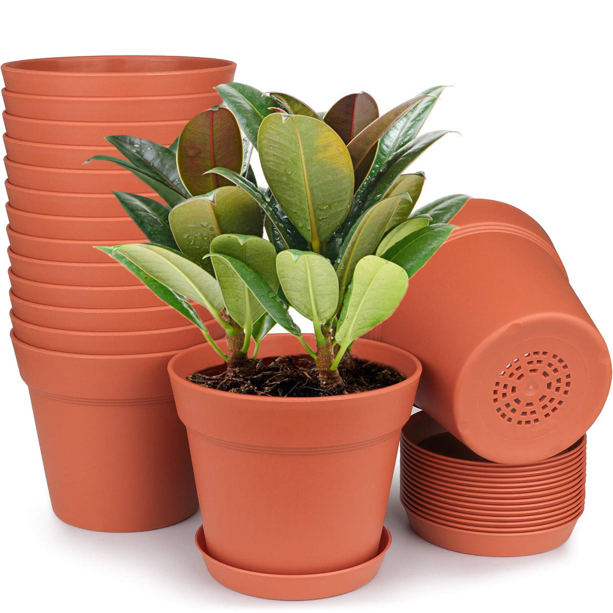 Homenote 6-inch pots with drainage holes and tray for mess-free watering.