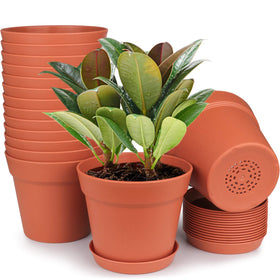 Homenote 6-inch pots with drainage holes and tray for mess-free watering.