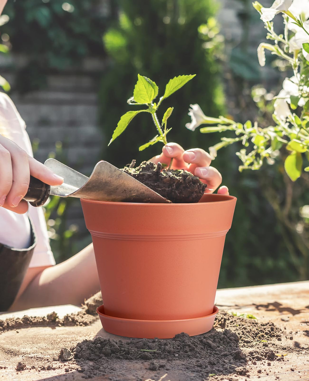 Homenote windowsill setup with 6-inch pots ideal for herbs and greens.