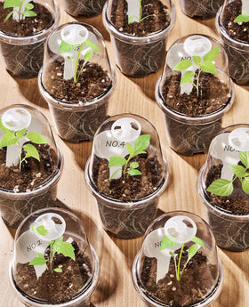 Homenote raised-bottom nursery pot designed for better root ventilation