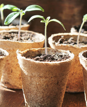 Homenote recycled pulp pots breathable design aids root health