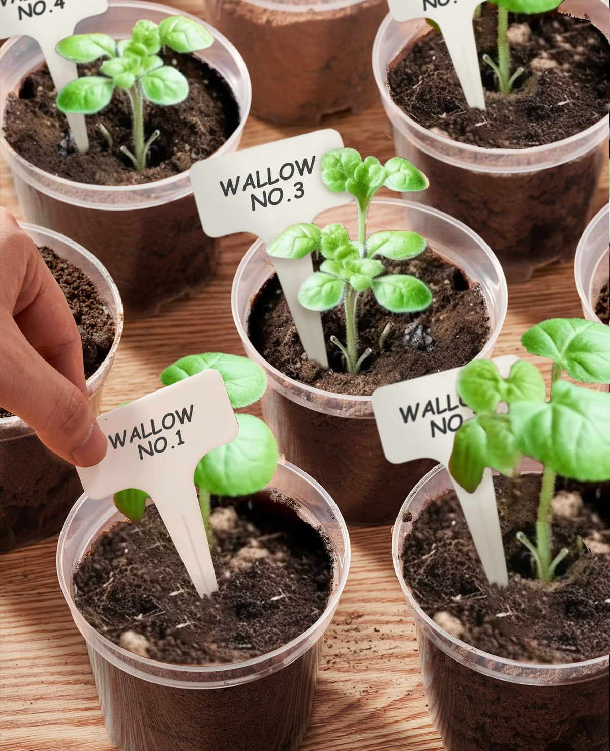 homenote reusable plastic plant pot designed with ventilation for longer plant life