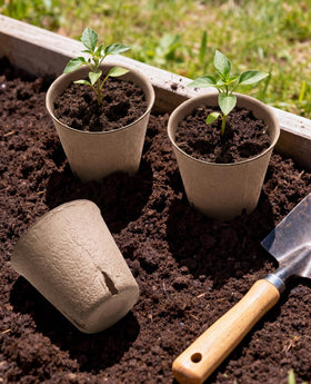 HOMENOTE seed starter pots with drainage holes prevent waterlogged soil