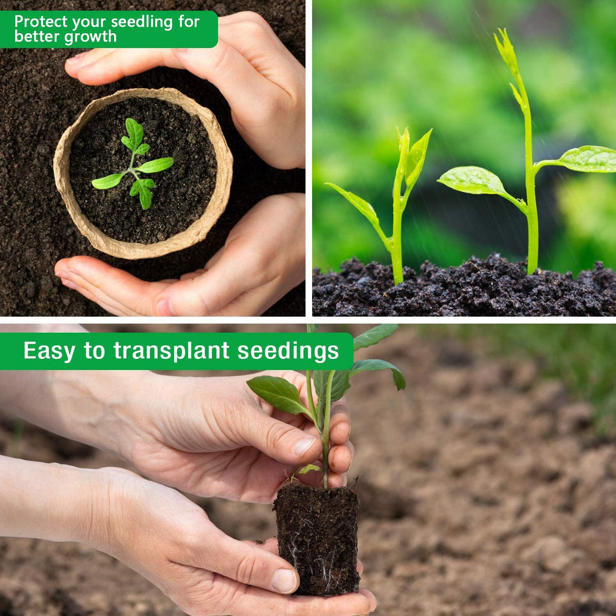 Homenote 3.15-inch seedling container ready for soil burial