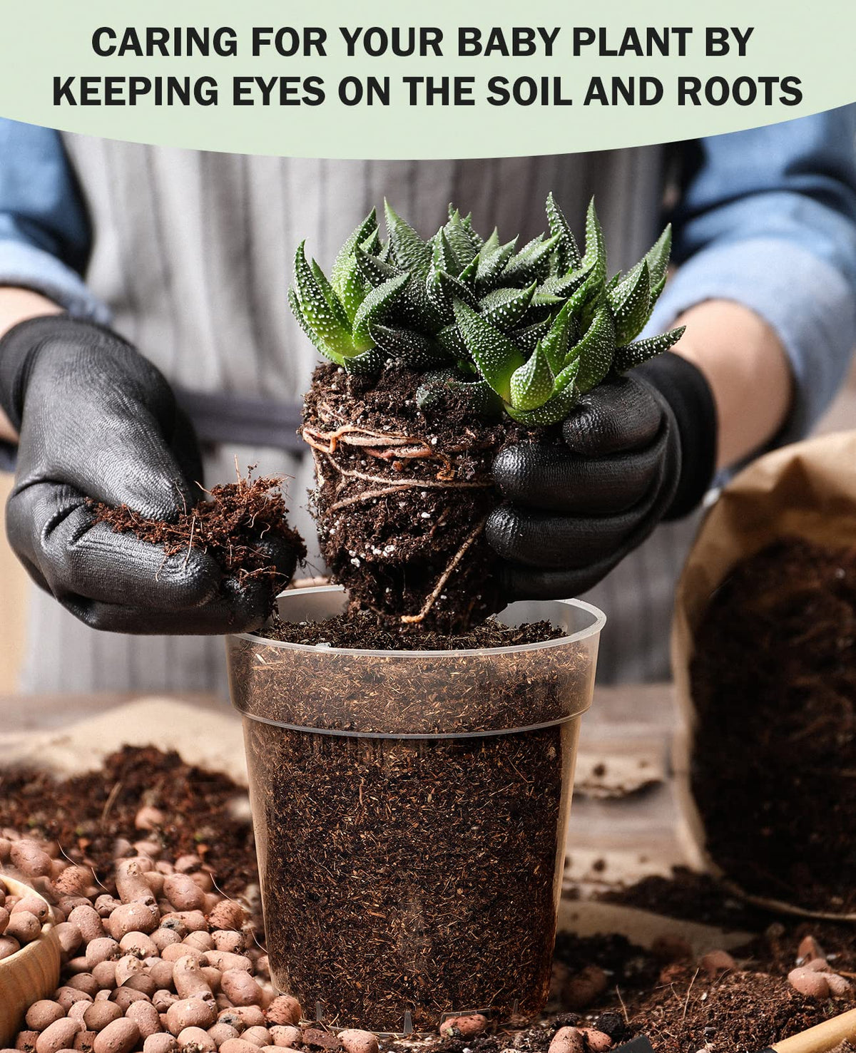 homenote seedling propagation pot supports healthy transplanting