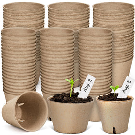 HOMENOTE seedling start to grow tomatoes and cucumbers