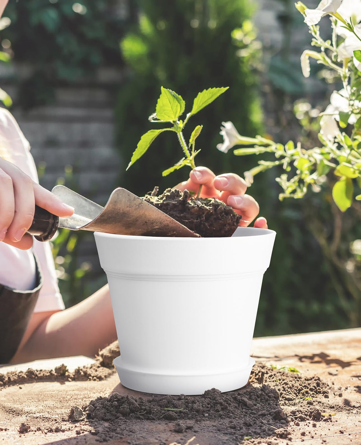 Homenote 6-inch pot side view showing dimensions and sturdy 3mm plastic.