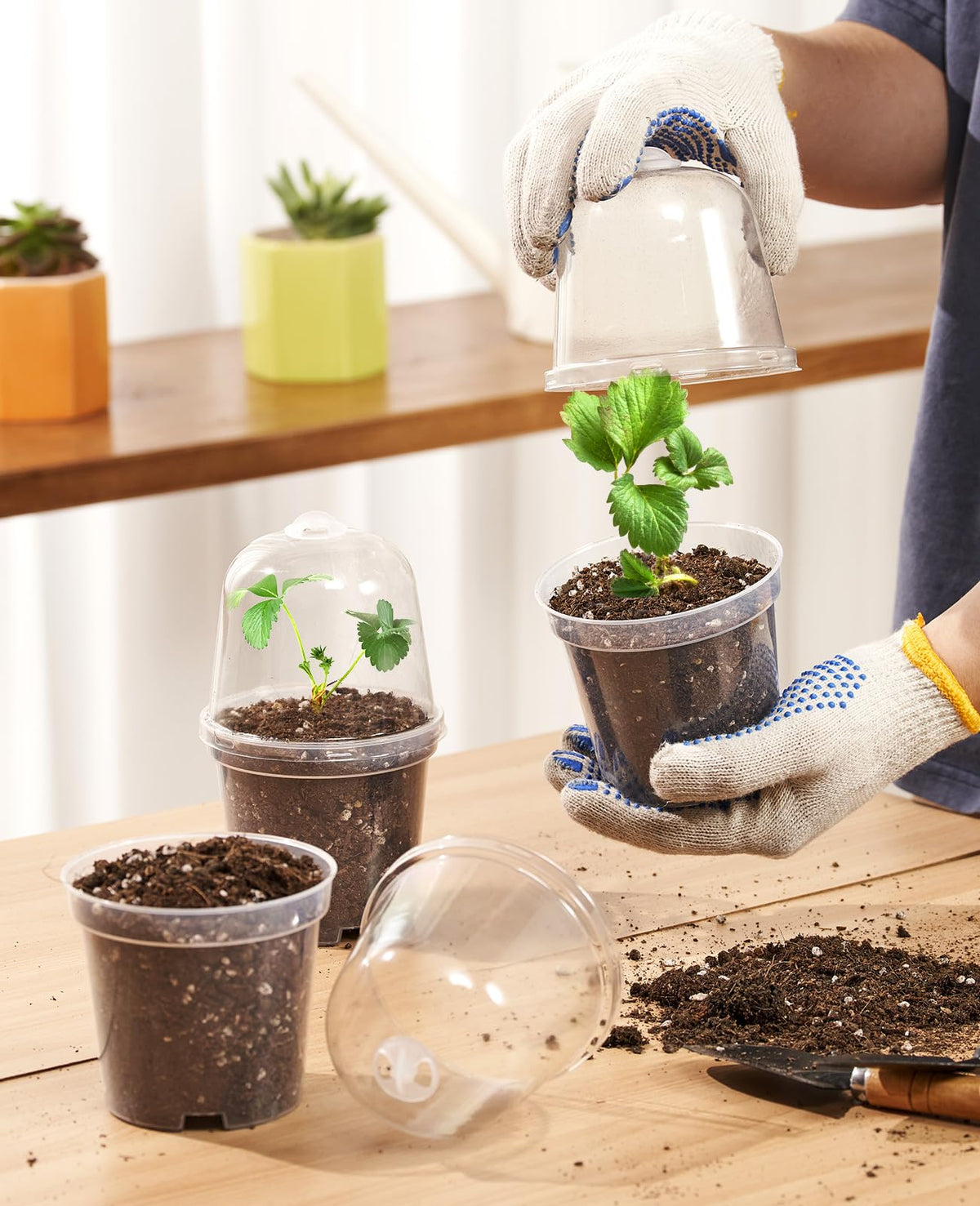 Homenote transparent plant pot with nine drainage holes for airflow and drainage